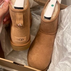chestnut mini Uggs brand new